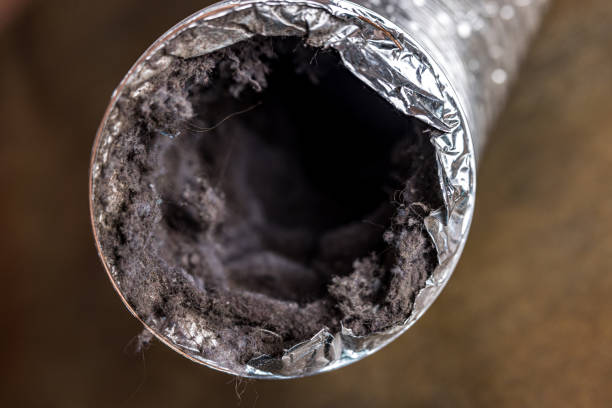 Best Affordable Air Duct Cleaning  in Grape Creek, TX
