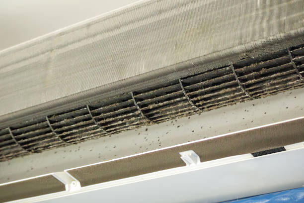 Best Professional Duct Cleaning Services  in Grape Creek, TX